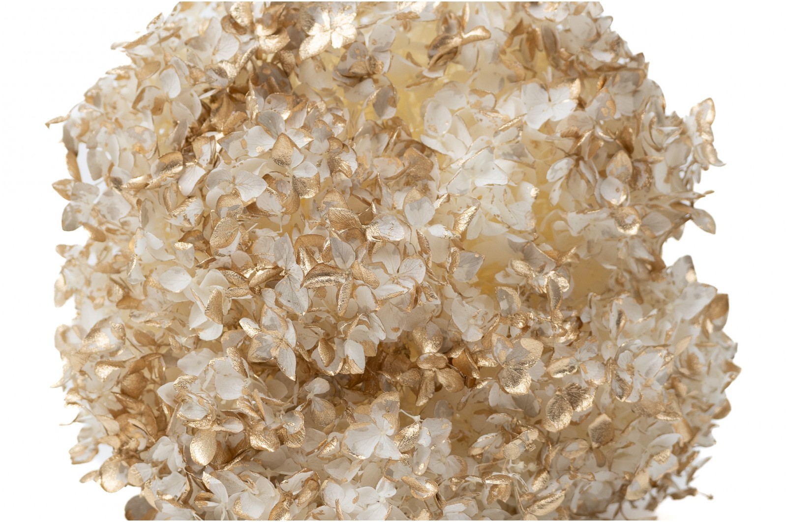 preserved-anna-hydrangea-8