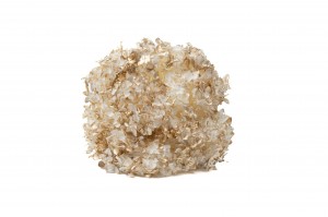 preserved-anna-hydrangea-8.