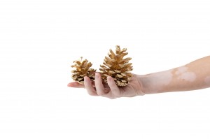 small-dried-pine-cone-1kg-8.