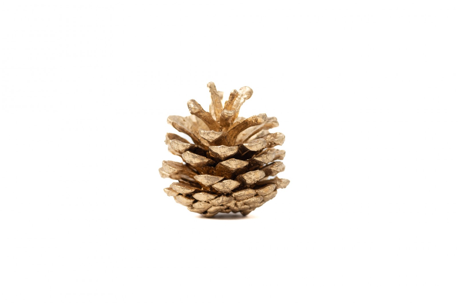 petite-pomme-de-pin-sechee-1kg-8