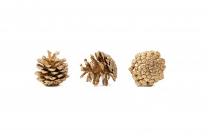 small-dried-pine-cone-1kg-8.
