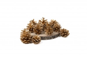 small-dried-pine-cone-1kg-8.