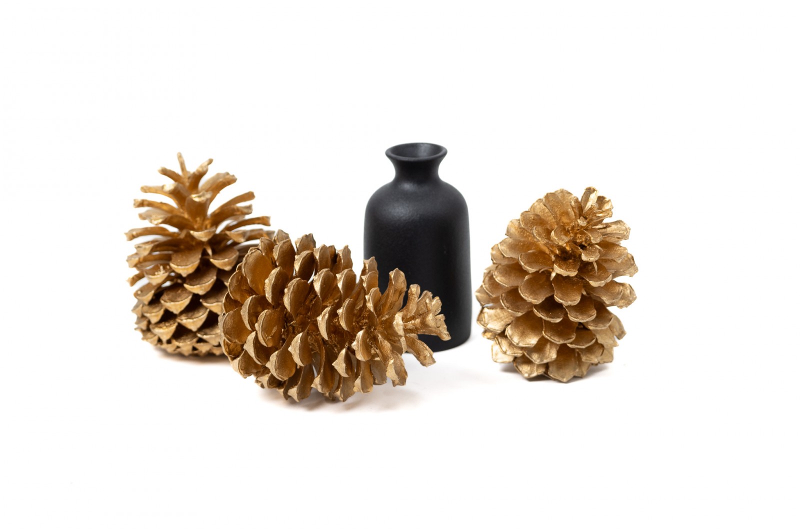 dried-pine-cones-8