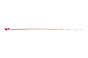 trockene-jazilda-8.