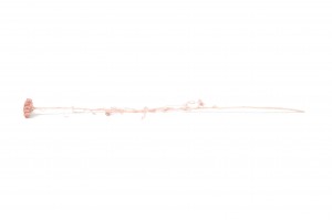 lona-stabilise-8.
