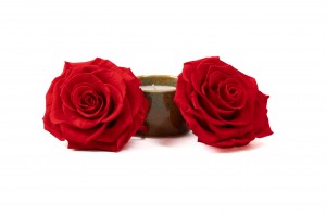 preserved-rose-heads-box-of-2-36.