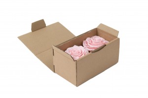 tetes-de-roses-stabilisees-xxl-boite-de-2-36.