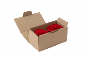 tetes-de-roses-stabilisees-xxl-boite-de-2-36.