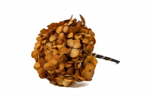 stabilisierte-hortensien-14.