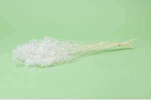stabilisiertes-gipskraut-37.