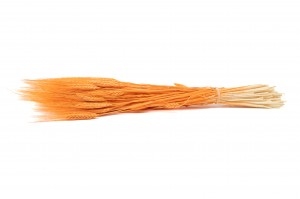 dried-wheat-24.