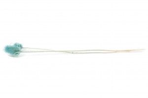 dried-thistle-12.
