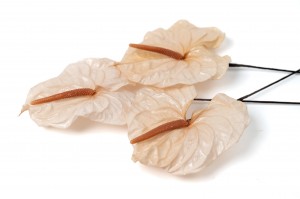 anthurium-stabilise-30.