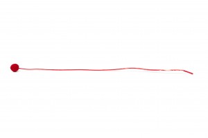 craspedie-stabilise-8.
