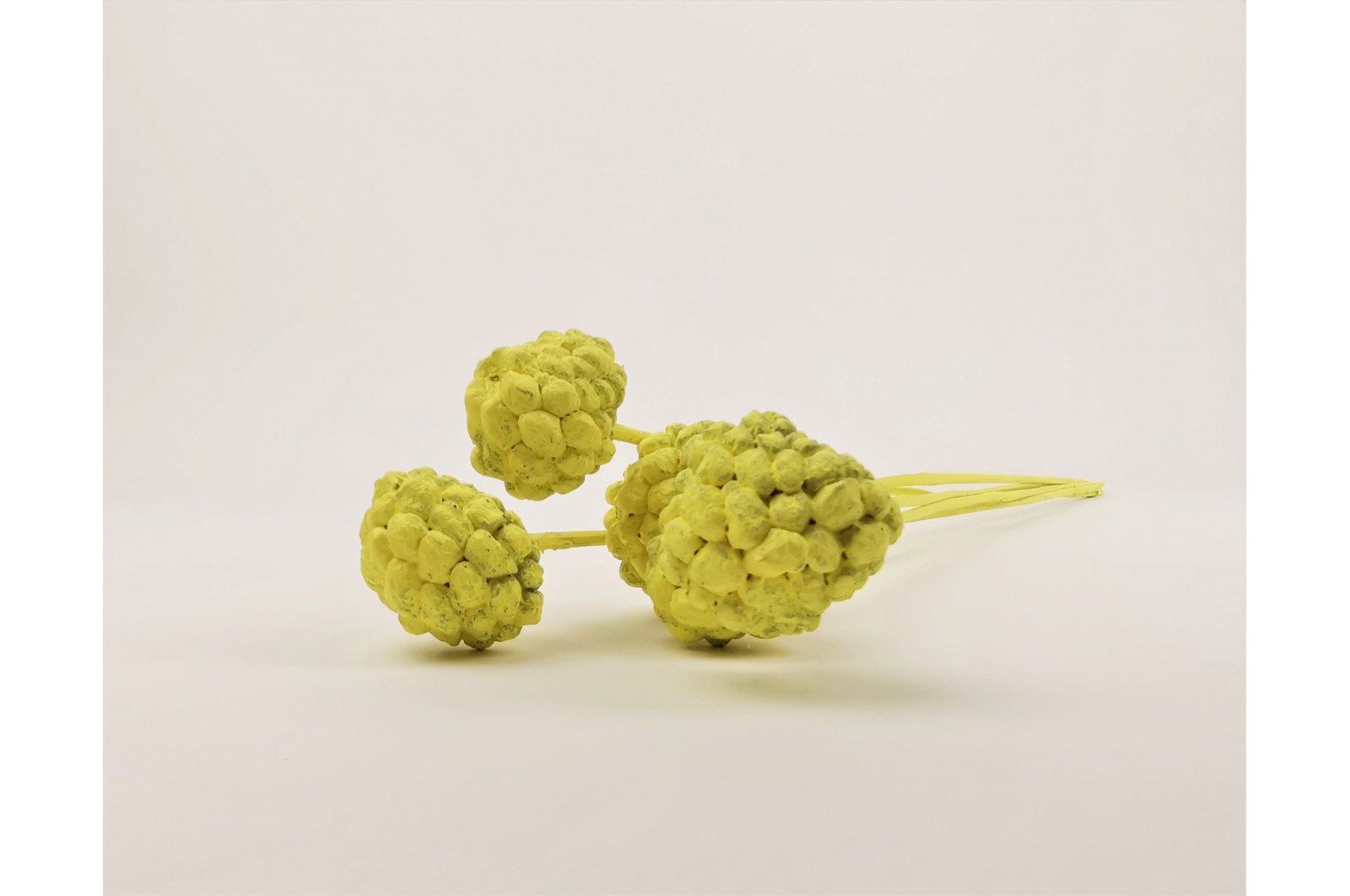 Ata fruit sec (12) ata-fruit-sec-12