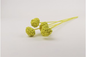ata-fruit-sec-12.
