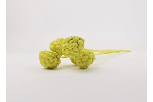 ata-fruit-sec-12.