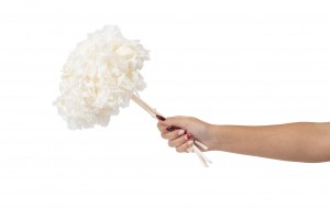 hortensia-stabilise-8.