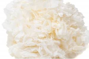 preserved-hydrangea-8