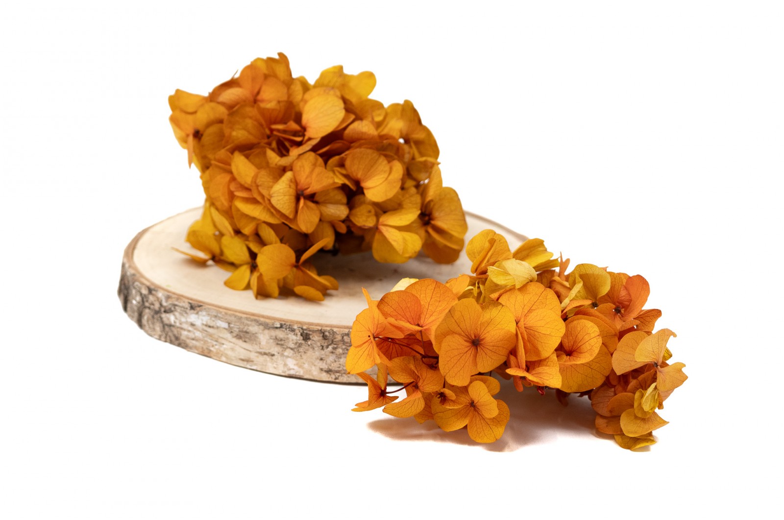 preserved-sprig-hydrangea-14