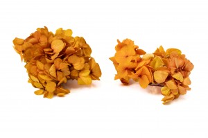 preserved-sprig-hydrangea-14.