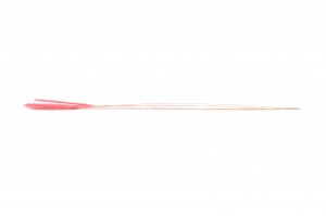 vulpin-seche-29.