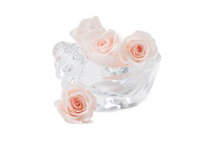 tetes-de-roses-kiara-stabilisees-m-37.