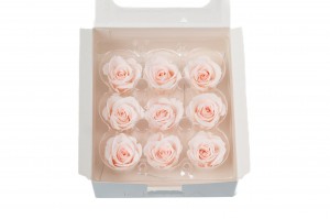 tetes-de-roses-kiara-stabilisees-m-37.