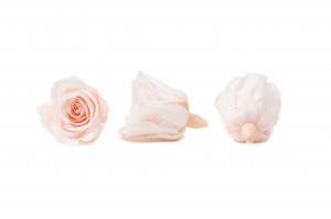 tetes-de-roses-kiara-stabilisees-m-37.