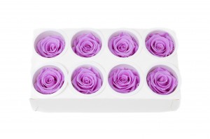 preserved-kiara-rose-heads-l-37.