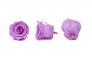 preserved-kiara-rose-heads-l-37.