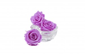 preserved-kiara-rose-heads-l-37.