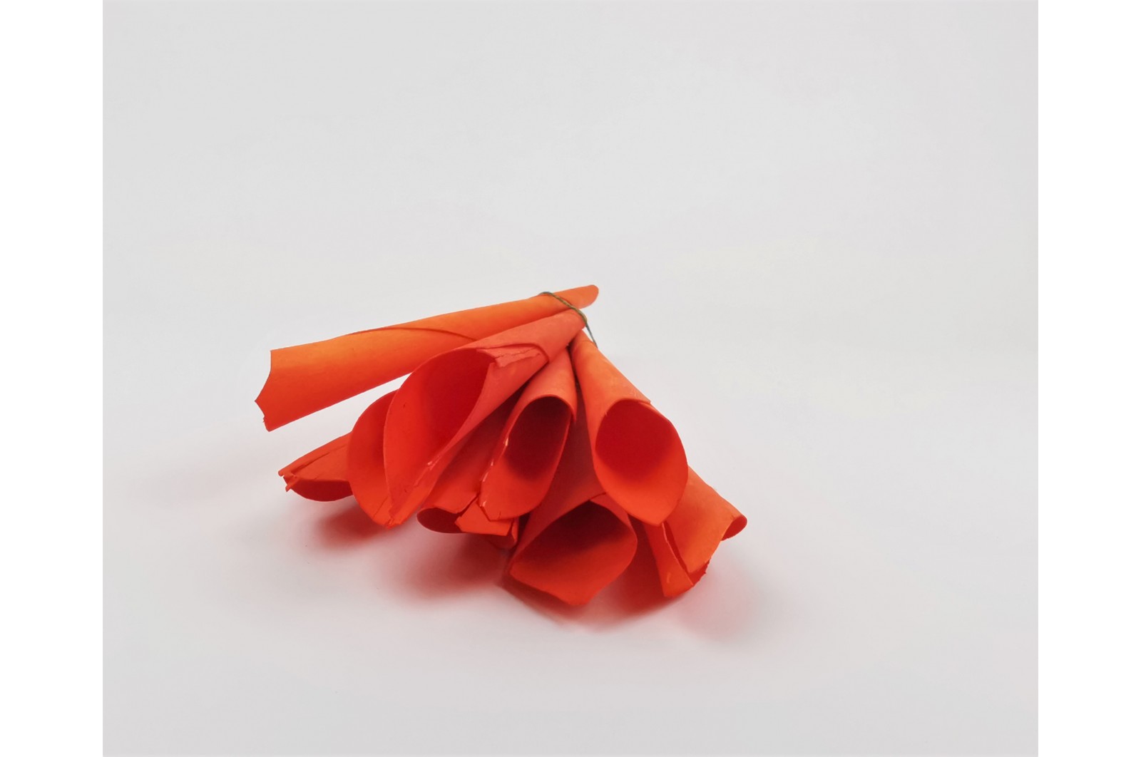 Dried calla - orange dried-calla-orange