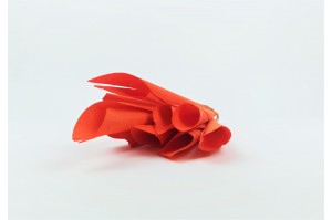 dried-calla-12.