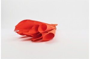 calla-seche-12.