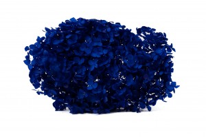 preserved-hydrangea-anna-31.