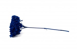 preserved-hydrangea-anna-31.