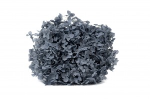 hortensia-anna-stabilise-31.