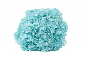 preserved-hydrangea-anna-31.