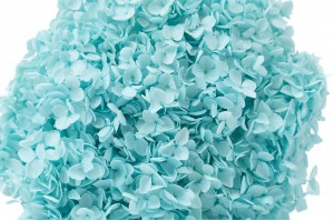 preserved-hydrangea-anna-31.
