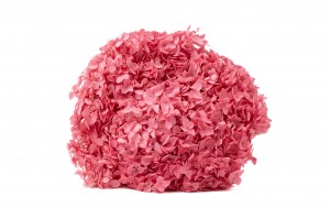 preserved-hydrangea-anna-31.
