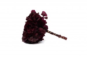 preserved-hydrangea-14.