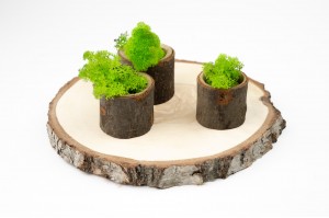 preserved-lichenreindeer-moss-500g-25.
