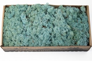 stabilisierte-flechte-500g-25.