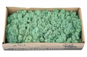 stabilisierte-flechte-500g-25.