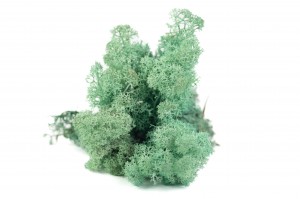 stabilisierte-flechte-500g-25.