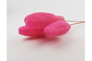 Dried italian luffa - pink*