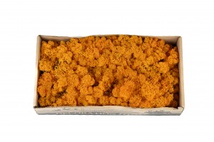 stabilisierte-flechte-500g-25.