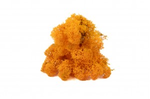 stabilisierte-flechte-500g-25.