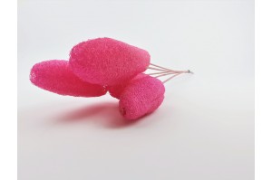 trockene-italiener-luffa-12.